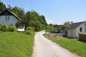 Bergant - Teraž (9)